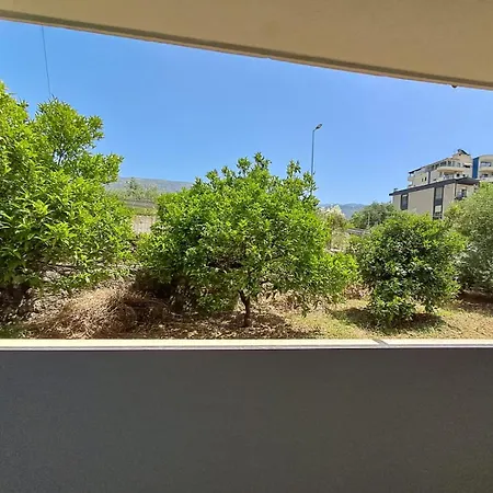 Renting Appartamento *